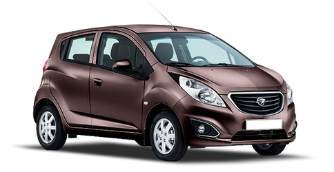 Ravon R2 Темно-коричневый